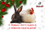 С наступающим Новым годом!