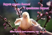 Наурыз құтты болсын!                         С праздником Наурыз!