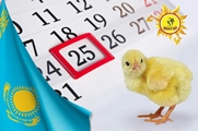 25 қазан – Республика күні!